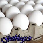 واردات تخممرغ متوقف شد